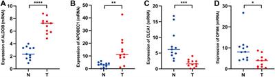 Identification of a glycolysis- and lactate-related gene signature for predicting prognosis, immune microenvironment, and drug candidates in colon adenocarcinoma